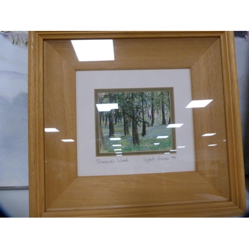 199 - Group of pictures to include 'The Bluebell Wood' by Sybil Moses, 'Early Morning, The Torridons' by R... 