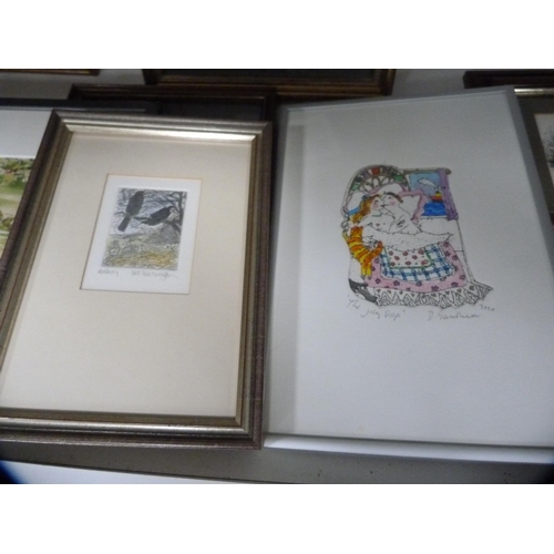 201 - Prints to include limited edition print by Sue Lewington, another by N Ward etc (one shelf).