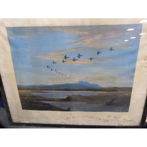 208 - Vernon WardFlying ducksPrint, also a print, 'Edwin and Angelina' and two Edwardian portrait chromoli... 