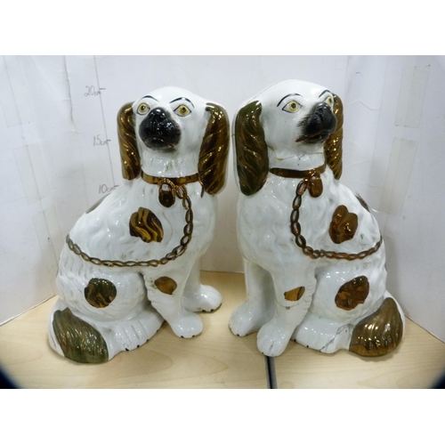 221 - Two pairs of ceramic Spaniel dogs and another four.  (8)