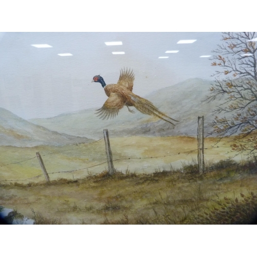 302 - R Dyer (20th Century)Pheasant and grouse in flightWatercolour.  (2)... 