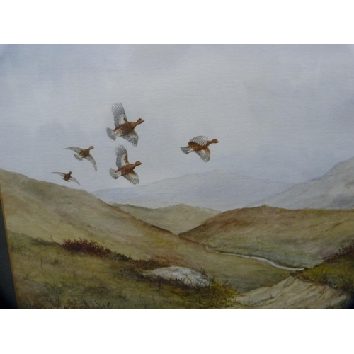 302 - R Dyer (20th Century)Pheasant and grouse in flightWatercolour.  (2)... 