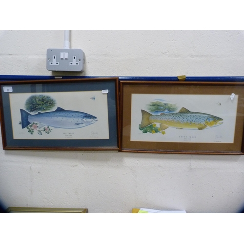 50 - Two framed fish prints, 'Sea Trout' and 'Brown Trout'.