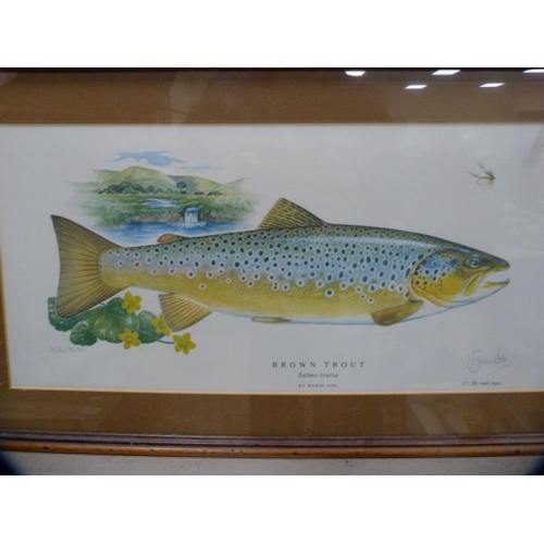 50 - Two framed fish prints, 'Sea Trout' and 'Brown Trout'.