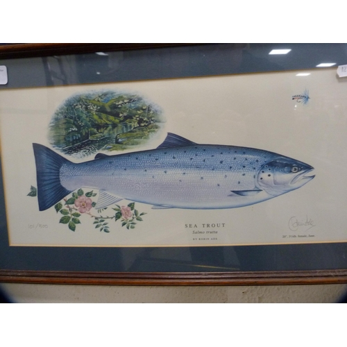 50 - Two framed fish prints, 'Sea Trout' and 'Brown Trout'.