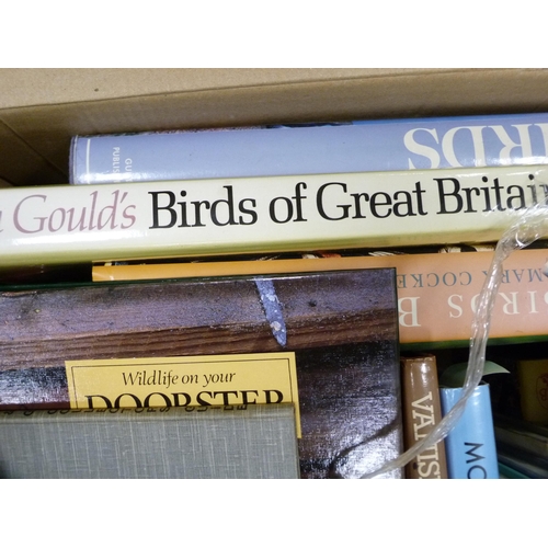 93 - Collection of books including John Gould's Birds of Great Britain, art, architecture, AA Milne, Jane... 