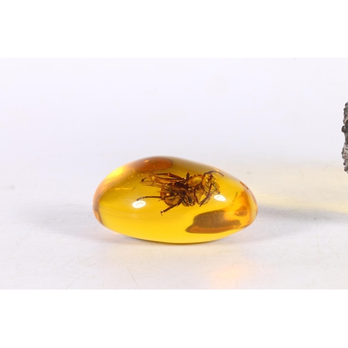 199 - Two insect specimen within amber effect material.