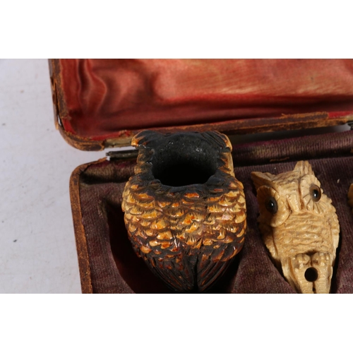 122A - Late Victorian set of three carved graduated pipe bowls in the form of owls, largest 5cm.