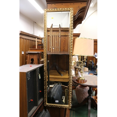 875 - Pier wall mirror with beveled glass in gilt pierced frame, 125 x 37cm.