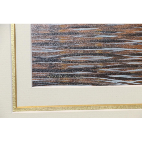 395 - W Geoff Rollinson, Golden Eye Ducks, oil, signed bottom left, paper labels verso, 33 x 21cm.