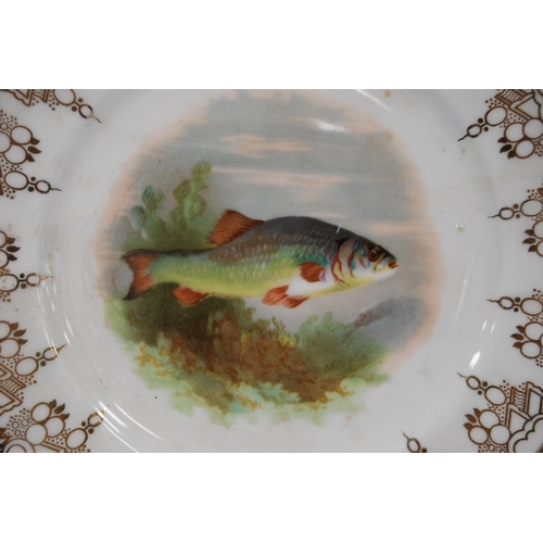 233 - Cauldon china seven-piece fish service comprising a serving dish and six plates depicting an image o... 