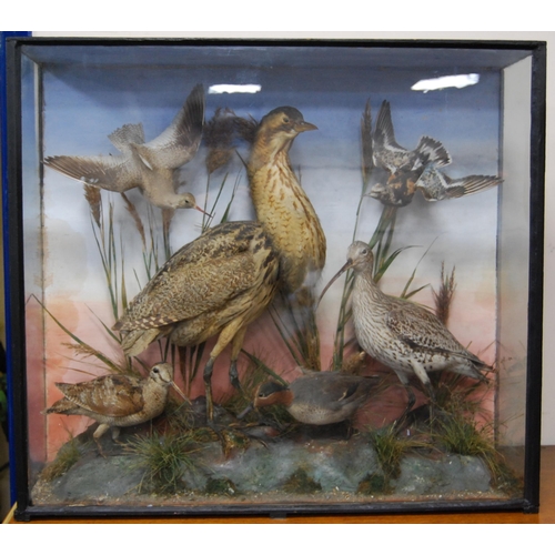 208 - Late Victorian taxidermy bird group, the glazed display case enclosing various species of birds to i... 