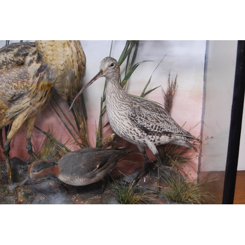 208 - Late Victorian taxidermy bird group, the glazed display case enclosing various species of birds to i... 