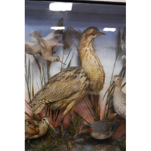 208 - Late Victorian taxidermy bird group, the glazed display case enclosing various species of birds to i... 