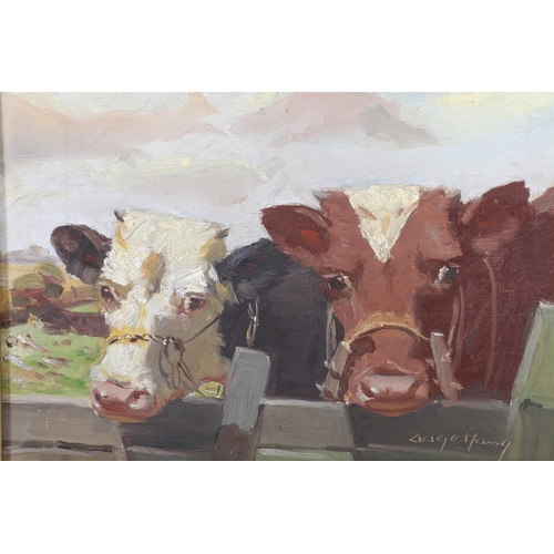 332 - GAGE HANG? Cattle at a fence Oil on canvas, signed lower right, 22cm x 28cm, frame  33cm x 39cm... 