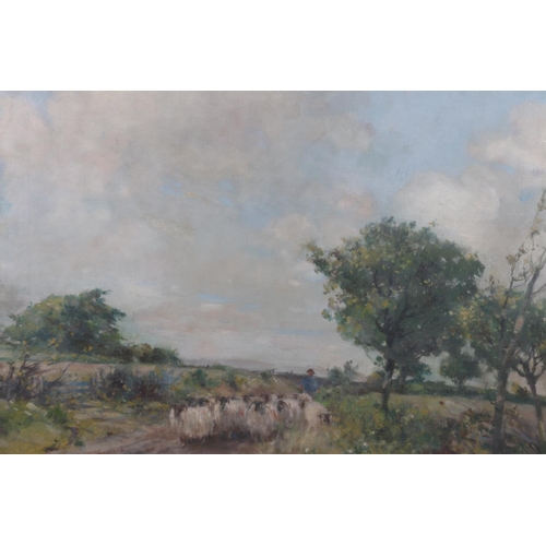 337 - DAVID FULTON RSW (Scottish 1848-1930) Shepard with flock Oil on canvas, signed lower left, 41cm x 51... 