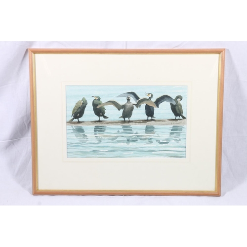 257 - ROBERT GILLMOR MBE (British b1936) *ARR* Cormorants Watercolour, signed lower right, 21cm x 34cm, fr... 