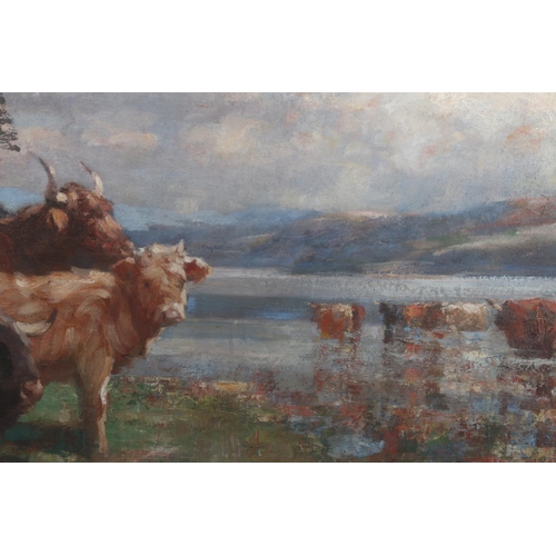 292 - ANDREW DOUGLAS RSA (British 1871-1935) Cattle watering Oil on canvas, signed lower left, 55cm x 78cm... 