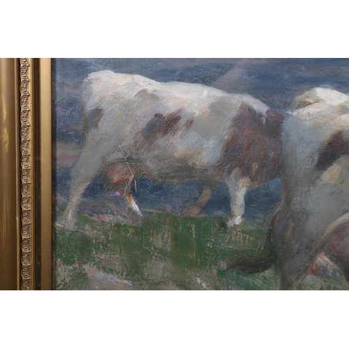 293 - ANDREW DOUGLAS RSA (British 1871-1935) Cattle grazing Oil on canvas, unsigned, 55cm x 78cm, frame 71... 