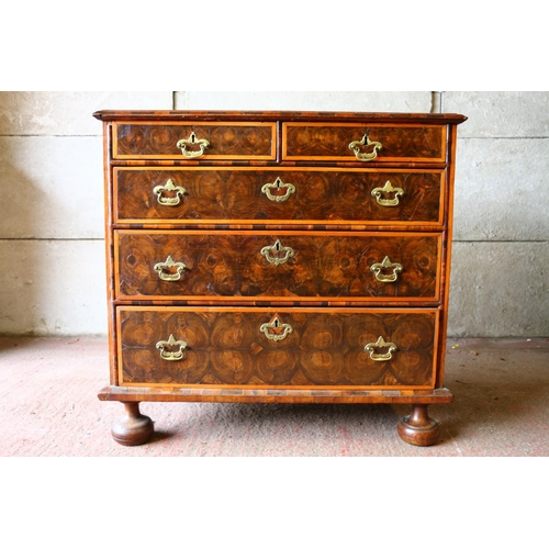 691 - William & Mary walnut and laburnum oyster veneered and banded chest of drawers (later handles) r... 