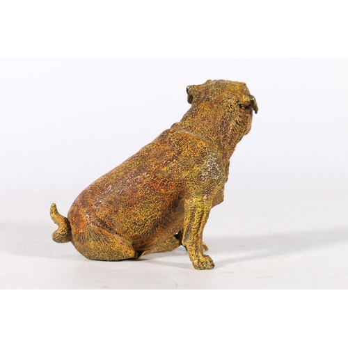 180A - 19th century cold painted bronze dog, in the manner of Bergman, 9cm.