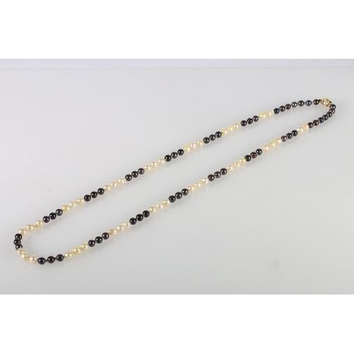 220 - Single strand of Tahitian black and white pearl necklace with 9ct yellow gold clasp.