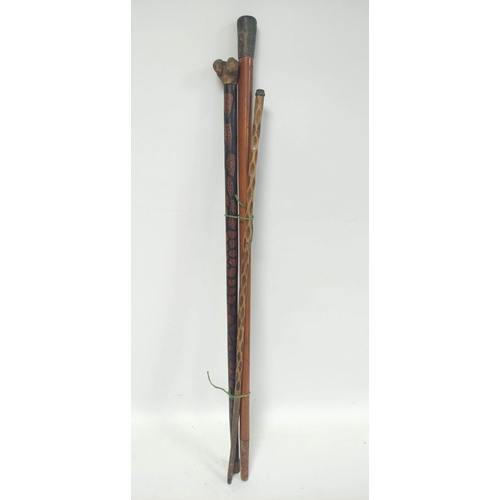 156 - Victorian and later walking sticks and parasols to include a Malacca stick, the parasols with ivorin... 