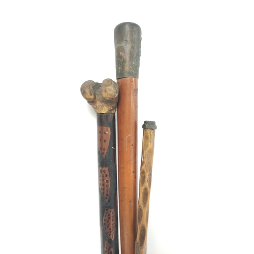 156 - Victorian and later walking sticks and parasols to include a Malacca stick, the parasols with ivorin... 