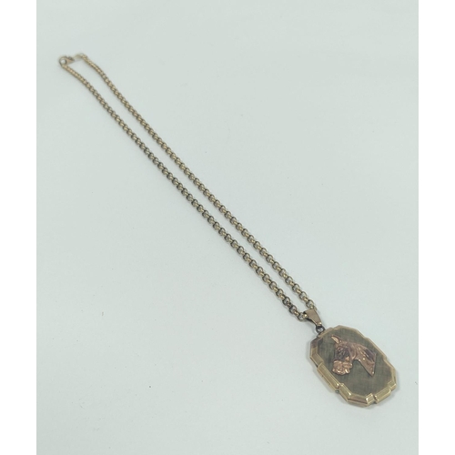 18 - 9ct gold locket, with applied horses head, on necklet, 22g gross.