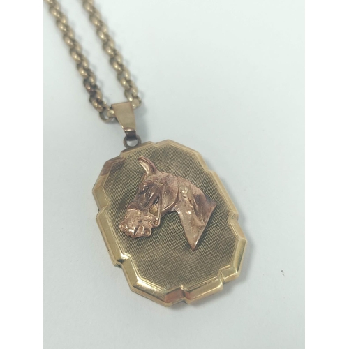 18 - 9ct gold locket, with applied horses head, on necklet, 22g gross.
