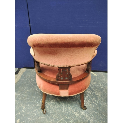 365 - Pair of Edwardian drawing room tub armchairs upholstered in later pink velour, raised on turned supp... 