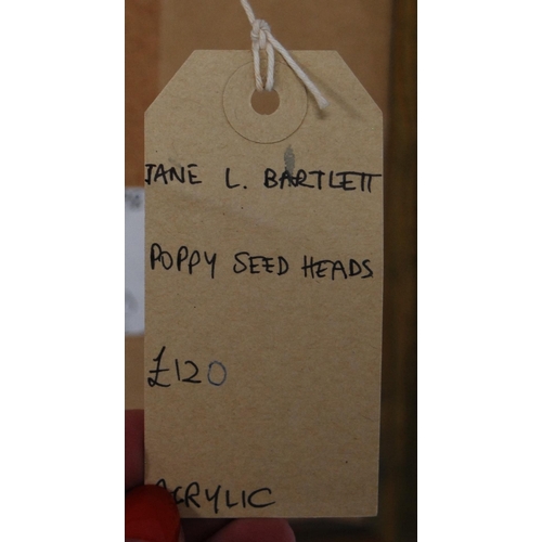 323 - Jane Lindsey Bartlett (Scottish)Poppy Seed HeadsPalette knife acrylic, 13.5cm x 13.5cm.Label verso w... 