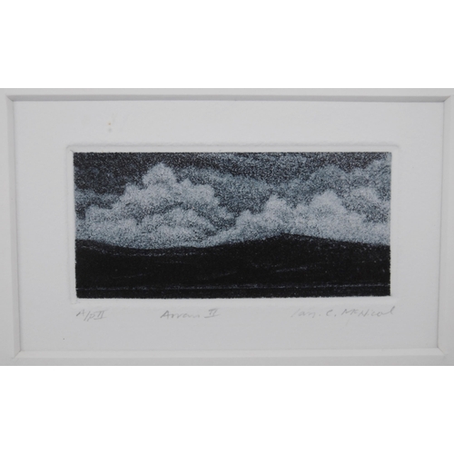 326 - Ian McNicol (Scottish, b. 1965)Arran IISigned in pencil, etching and aquatint, 3cm x 6.5cm.  AR... 