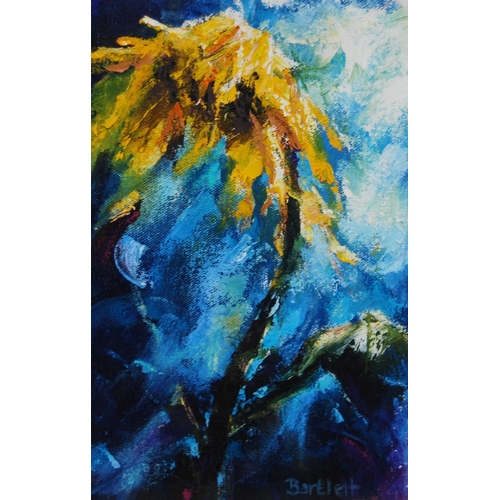 328 - Jane Lindsey Bartlett (Scottish)SunflowerSigned, oil on paper, 22cm x 14cm.Label verso with the arti... 