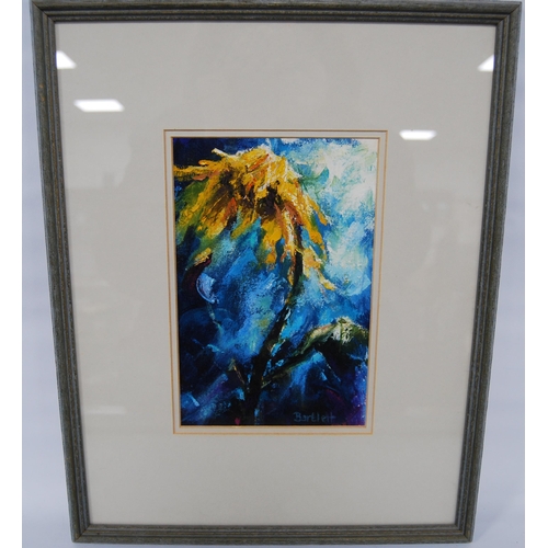 328 - Jane Lindsey Bartlett (Scottish)SunflowerSigned, oil on paper, 22cm x 14cm.Label verso with the arti... 