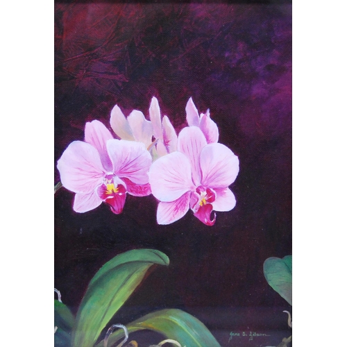 343 - Jane B Gibson (Scottish, b. 1954) OrchidSigned, oil on board, 24cm x 16.5cm.  ARRLabel ver... 