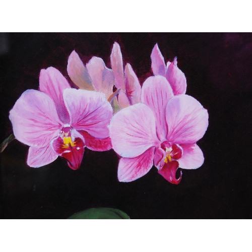 343 - Jane B Gibson (Scottish, b. 1954) OrchidSigned, oil on board, 24cm x 16.5cm.  ARRLabel ver... 