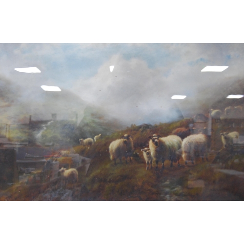 344 - Scottish SchoolHighland cattle watering, and a companion, sheep grazingOils on canvas, 39.5cm x 60cm... 