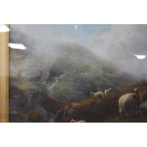 344 - Scottish SchoolHighland cattle watering, and a companion, sheep grazingOils on canvas, 39.5cm x 60cm... 