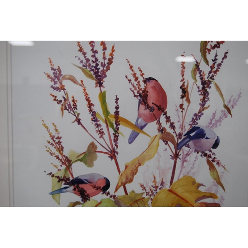 345 - Barbara Williams (Scottish)Bullfinches in sorrelSigned, watercolour, 49cm x 33cm.Label verso for Dum... 