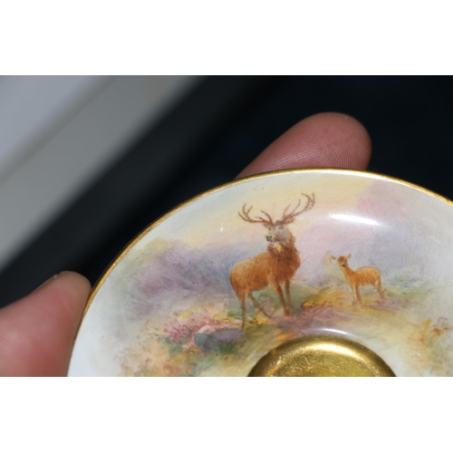 503 - Royal Worcester porcelain cabinet cup and saucer decorated with stag design and signed 'Stinton', nu... 