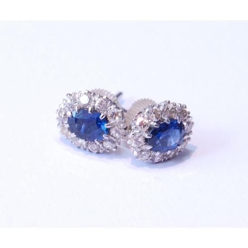 124 - Pair of sapphire and diamond cluster earrings, unmarked, probably white gold, with central oval-cut ... 