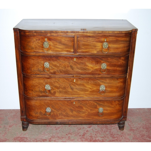 416 - William IV mahogany barrel-front chest of two short and three graduated long drawers, with brass lio... 