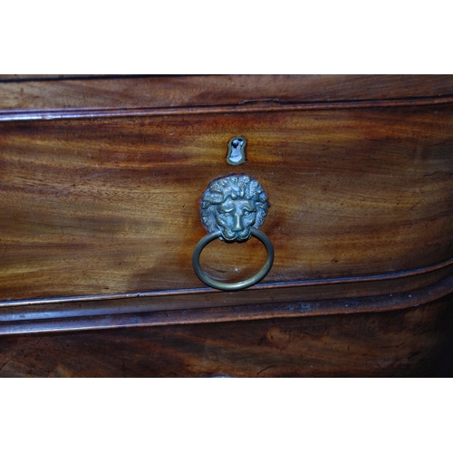 416 - William IV mahogany barrel-front chest of two short and three graduated long drawers, with brass lio... 