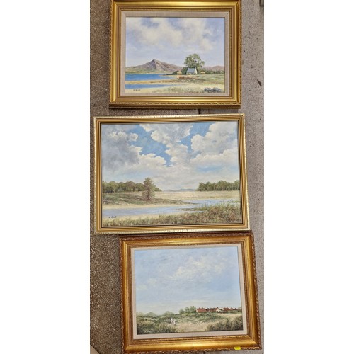 393 - Five framed pictures including,  oil on board by Koop, and a folder of artists watercolours