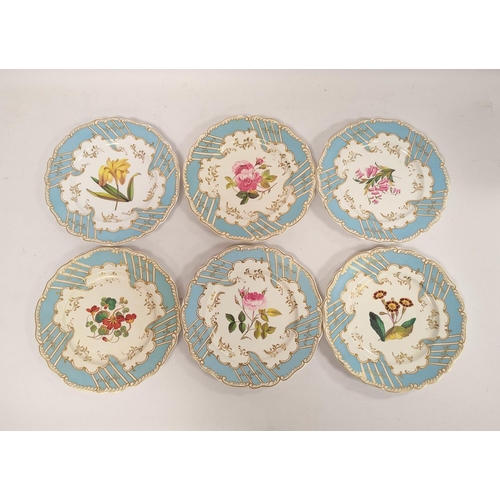 276 - Set of six late Victorian porcelain fruit plates, each with botanical floral study to the centre, wi... 