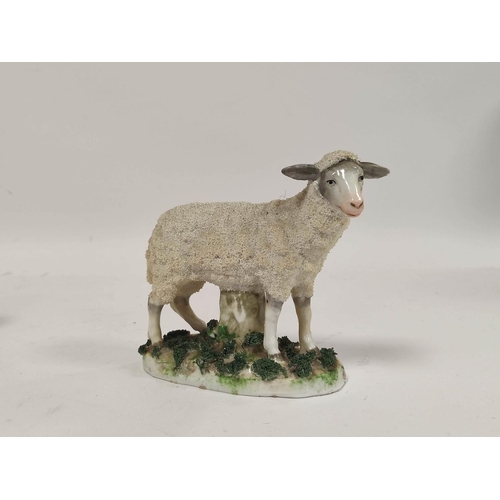 288 - 19th century pair of Staffordshire figures of sheep, raised on encrusted naturalistic bases, 12cm hi... 