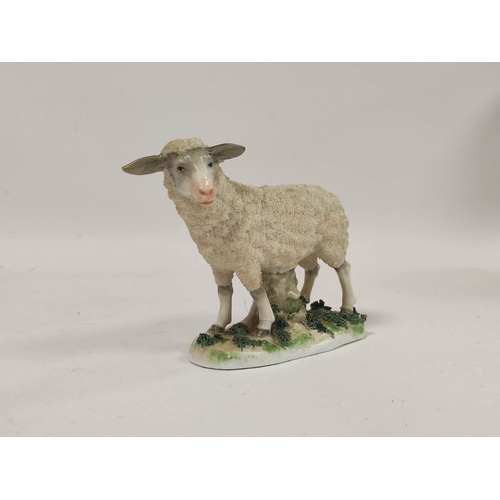 288 - 19th century pair of Staffordshire figures of sheep, raised on encrusted naturalistic bases, 12cm hi... 