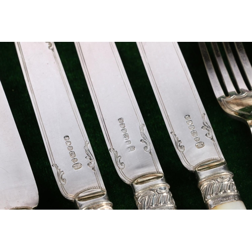 103 - Set of twelve mother of pearl handled fruit knives and forks, cased