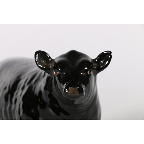 62 - Beswick Aberdeen Angus Bull 1562, Approved By The Aberdeen Angus Cattle Society stamp to base.